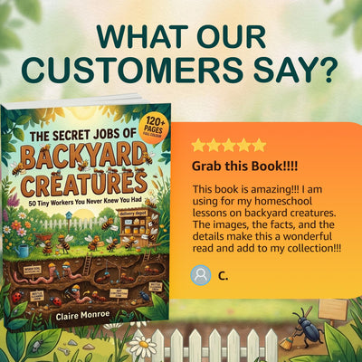 The Secret Jobs of Backyard Creatures for Kids Ages 6–10